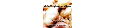 Cebollas Gallegas